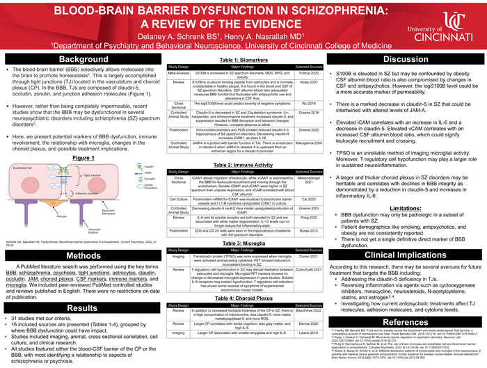 Poster 22 Schrenk Blood Brain Barrier Dysfunction In Schizophrenia